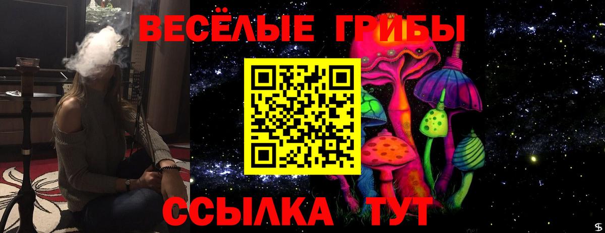 Галлюциногенные грибы Magic Shrooms  Вход с VPN  Псилоцибиновые грибы Psilocybine cubensis  Нефтекумск 